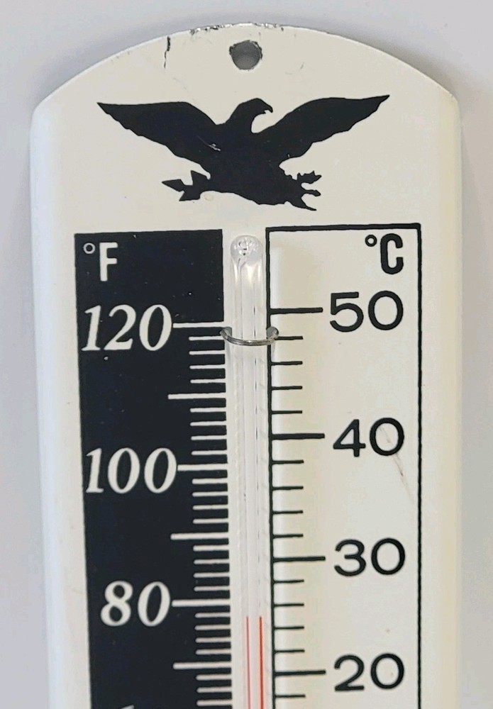 Cooper Black Eagle 10" Wall Hanging Thermometer