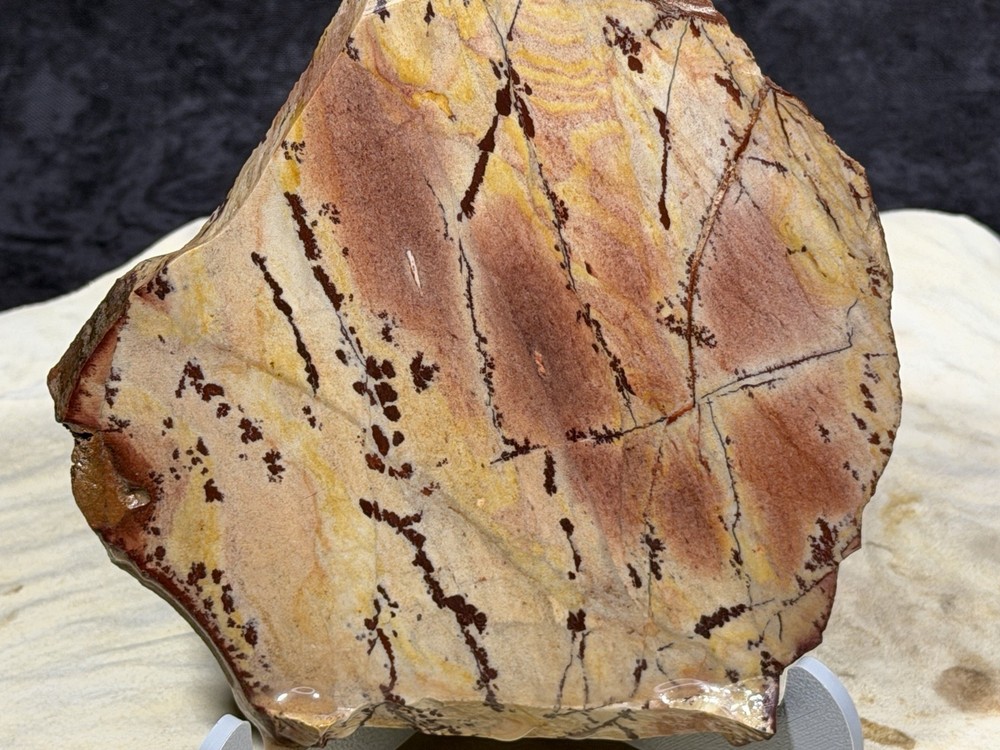 AA+ Owyhee Dendritic Slab, Lot #268