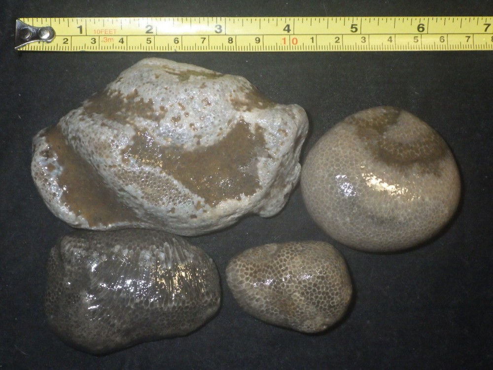 Charlevoix Stones