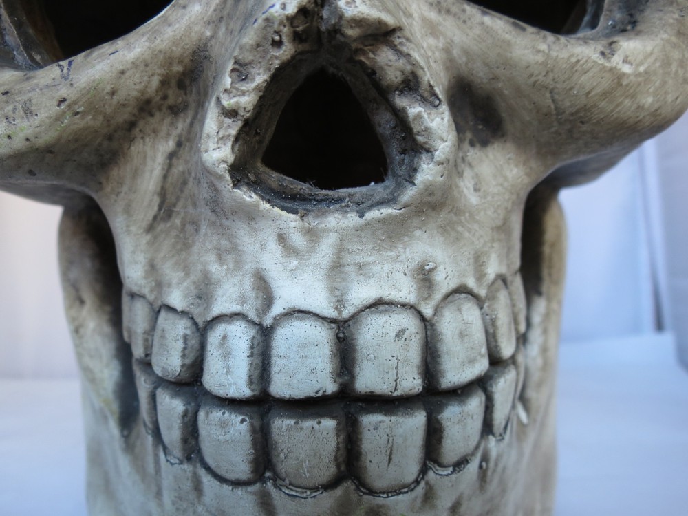 Large Heavy Cement Like Plaster Skull Skeleton Head Halloween