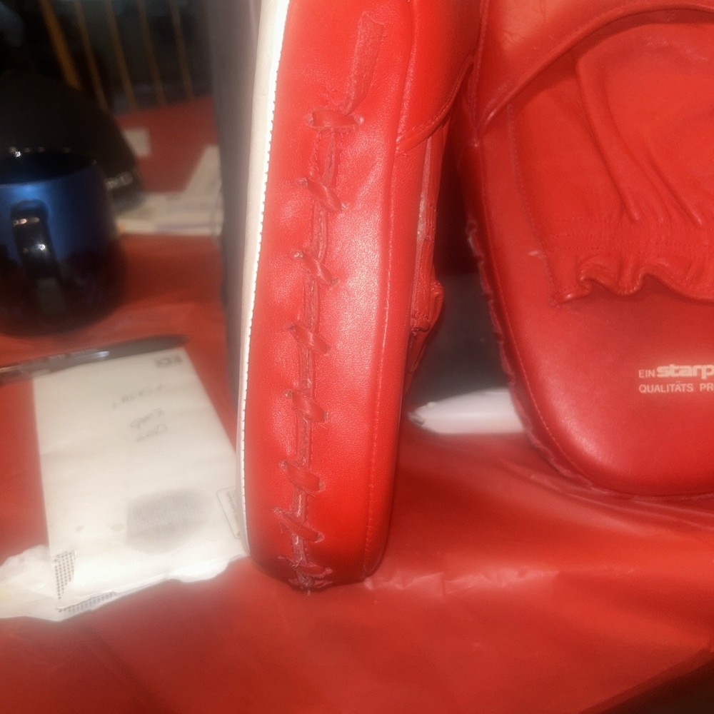 DANRHO Focus Punching Mitt