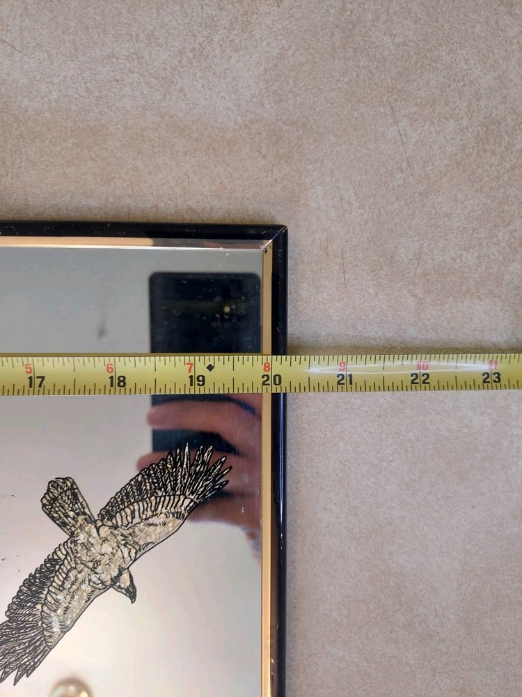 Vintage Glittery Eagle Mountains Mirror Plastic 20"x8"