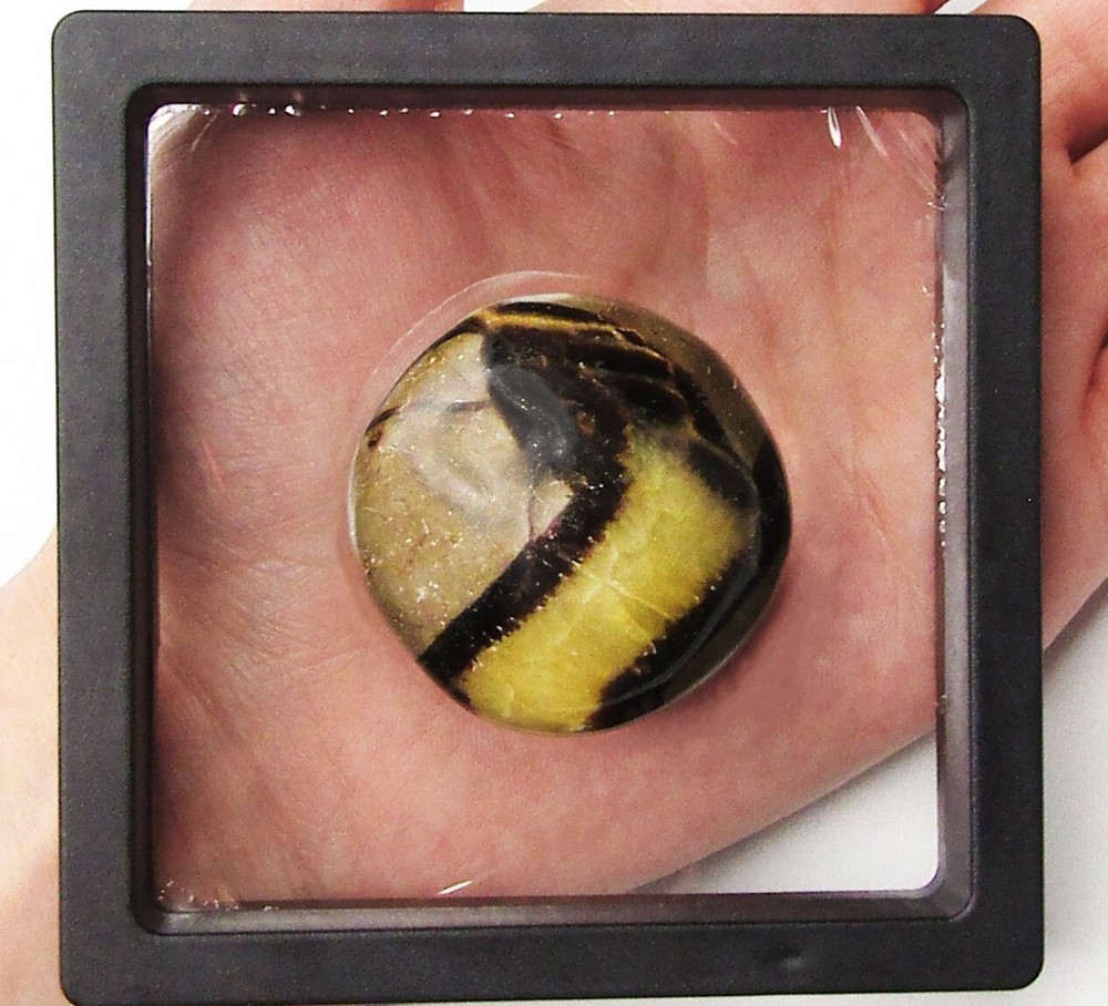 Yellow Septarian palm stone dragonstone geode Madagascar FRAMED