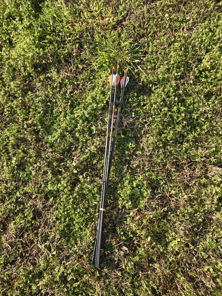 250 Spine Black Eagle X Impact x6 Uncut