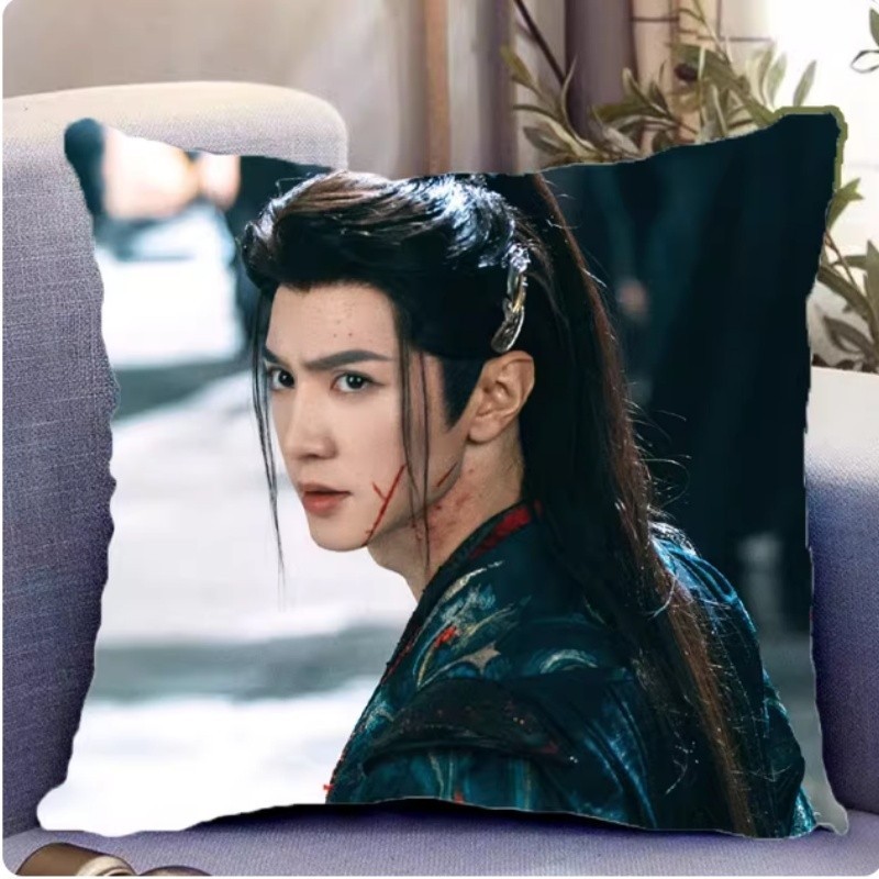 陈哲远 Chen Zheyuan pillow Gift 一笑随歌