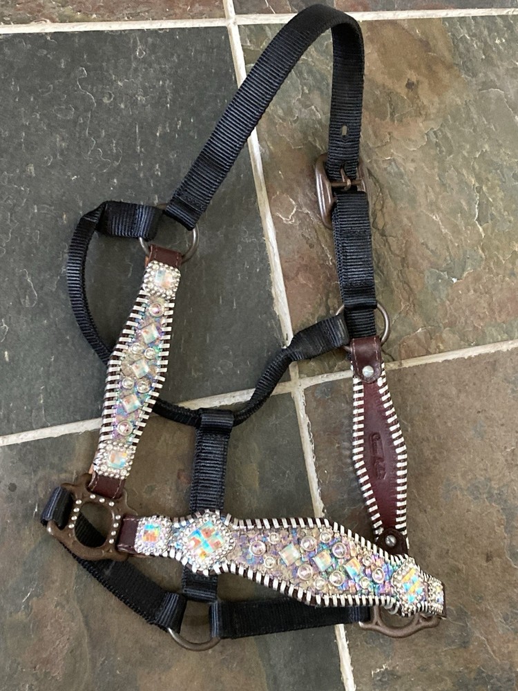 Silver Crown Leather Halter