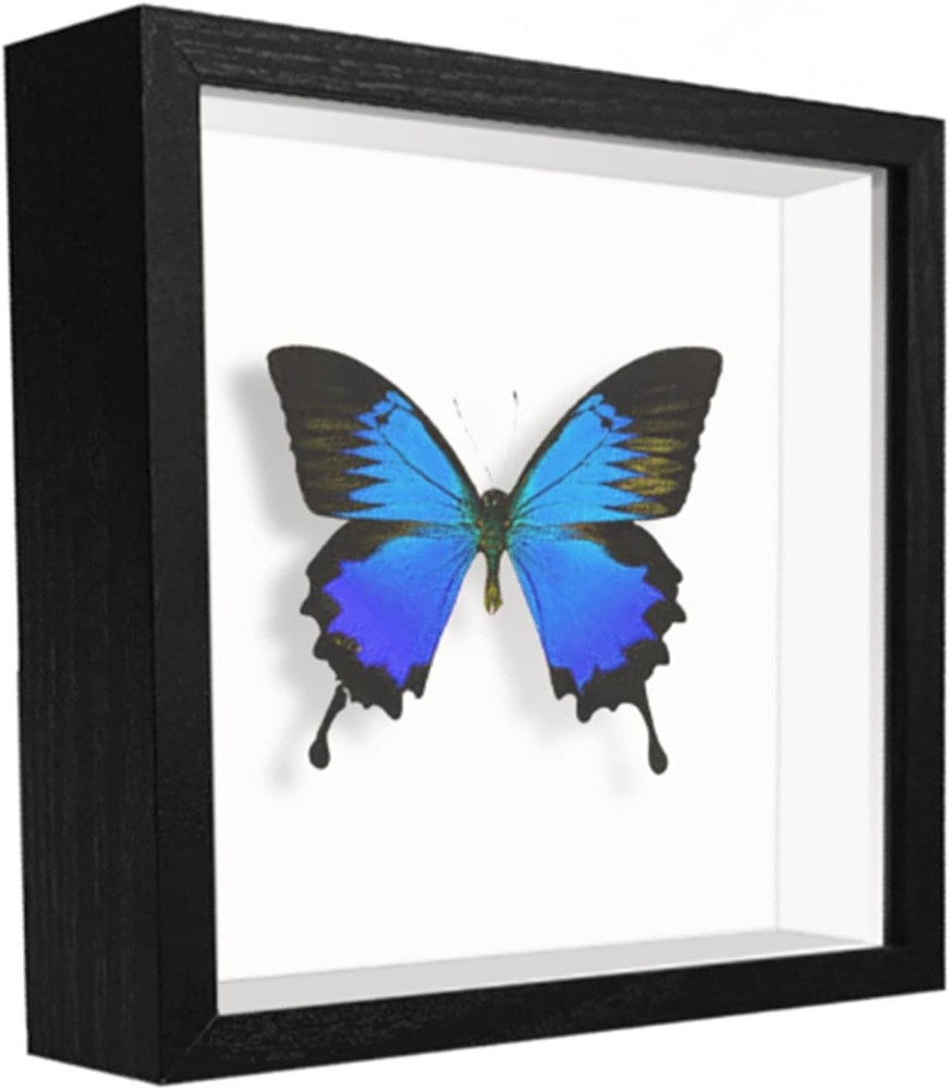 5X5 Small Shadow Box Frame Display Case , Display Case Box for Memorabilia, Meda