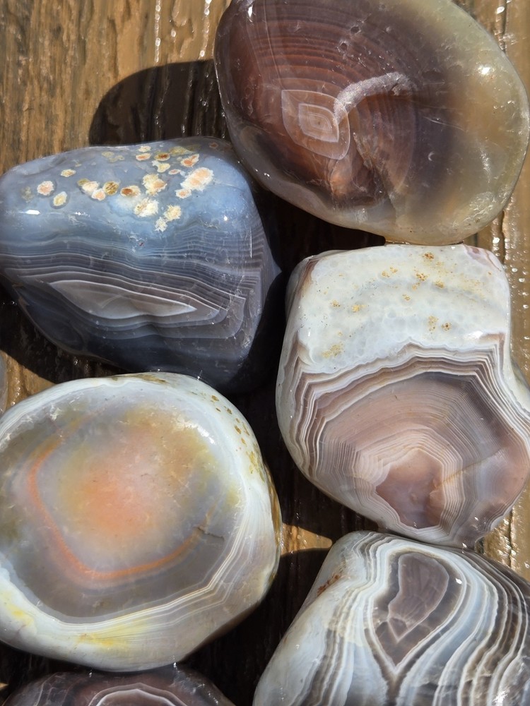 Botswana Agate Selects - SUPERNOVA - Rough, Natural, Not Polished A+ Grade