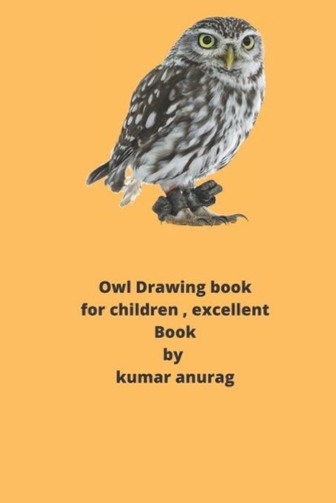 Owl Drawing Book