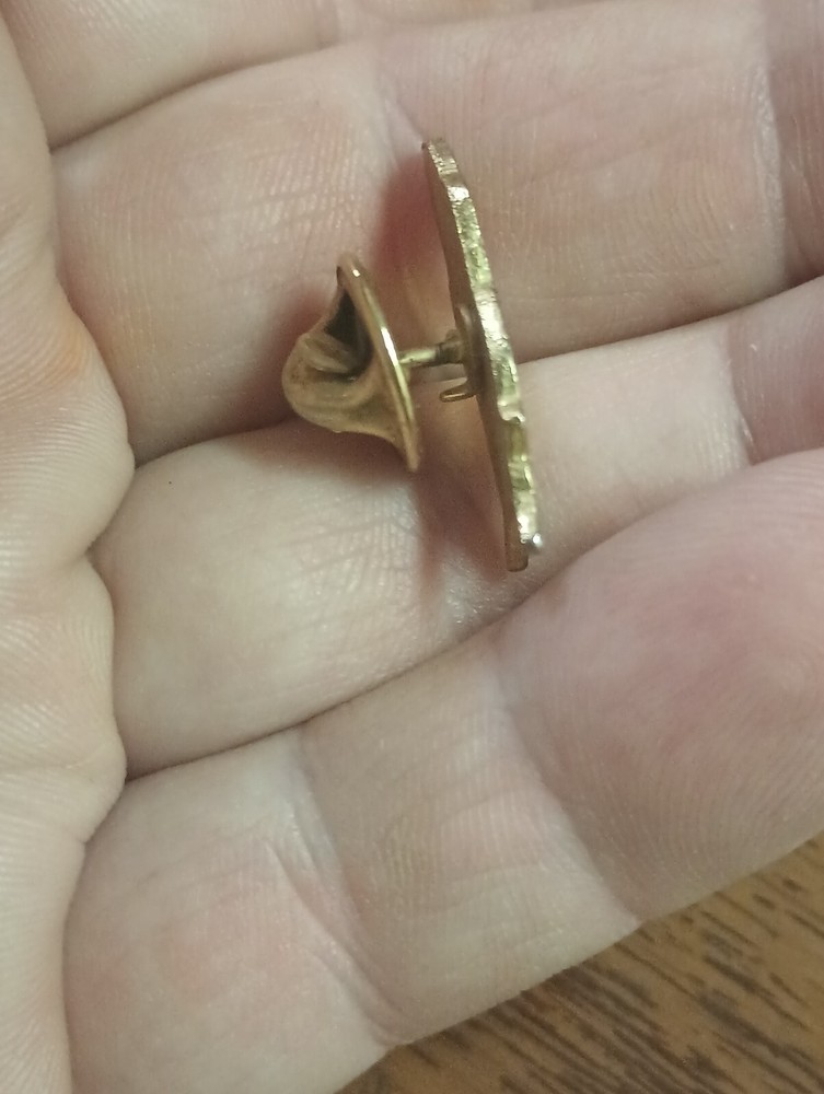 Vintage Space Shuttle Pin From 30 Yr Nasa Retiree