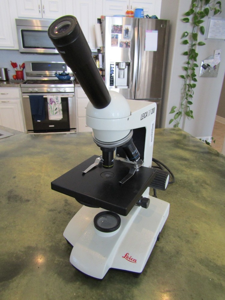 Genuine Leica BF 200 Monocular Compound Built in Illumination Lamp Microscope