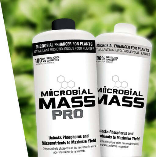 Miicrobial Mass Pro MIIM - Beneficial Bacteria Microbial Enhancer