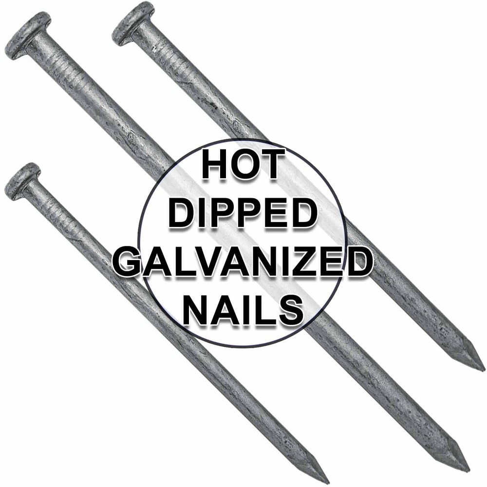 Exterior Hot Dipped Galvanized Common Framing Nail
