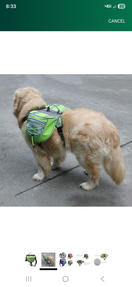 Adjustable saddle bag for large dog.