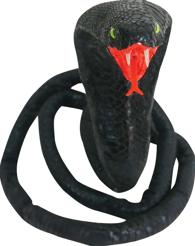 Snake Black 70 In - Sunstar