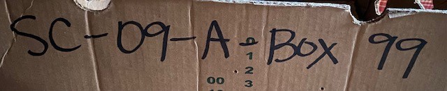 Reverse Light Switch 3G21 | 3" Long 34mm OD 15mm End