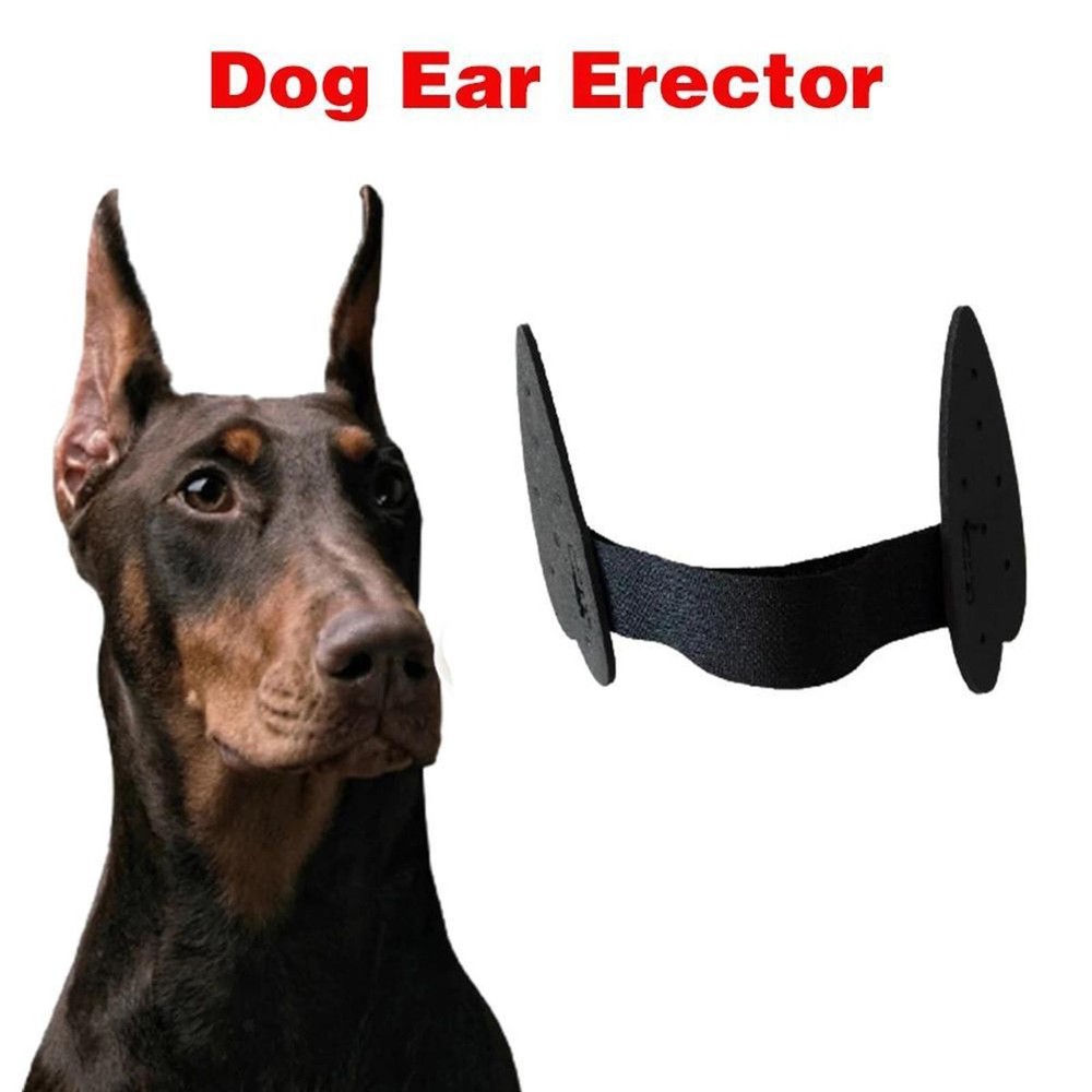 2x Durable Dog Ears Stand up Support Stand Ear Tools Ear