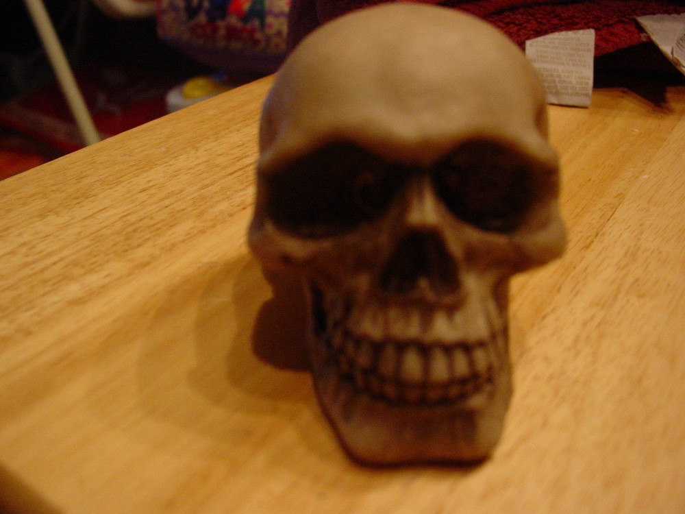 SKULL FIGURINE SET ( SET OF 4 )
