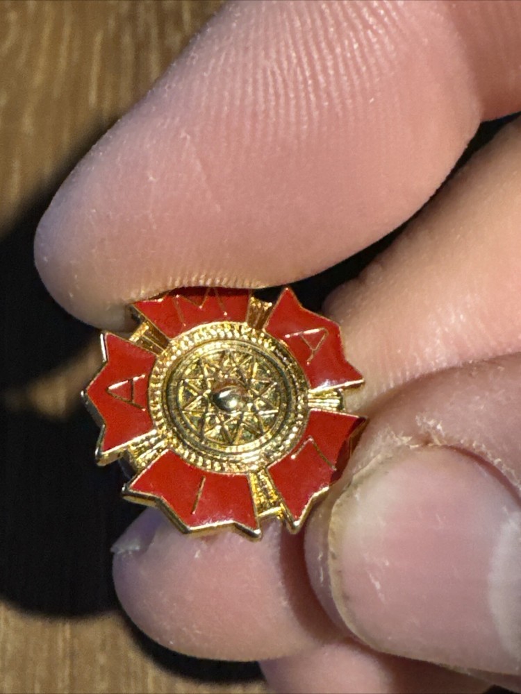 AMA 17 Year Member Pin