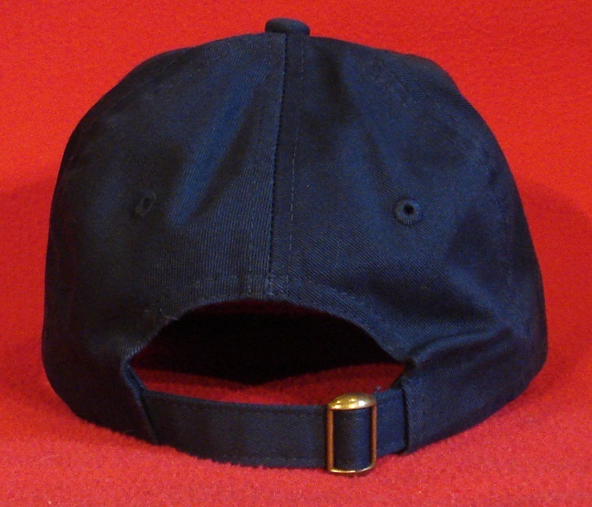 USAF FLIGHT NURSE (Basic) WINGS Aviator BALL CAP low-profile Flight Nurse hat