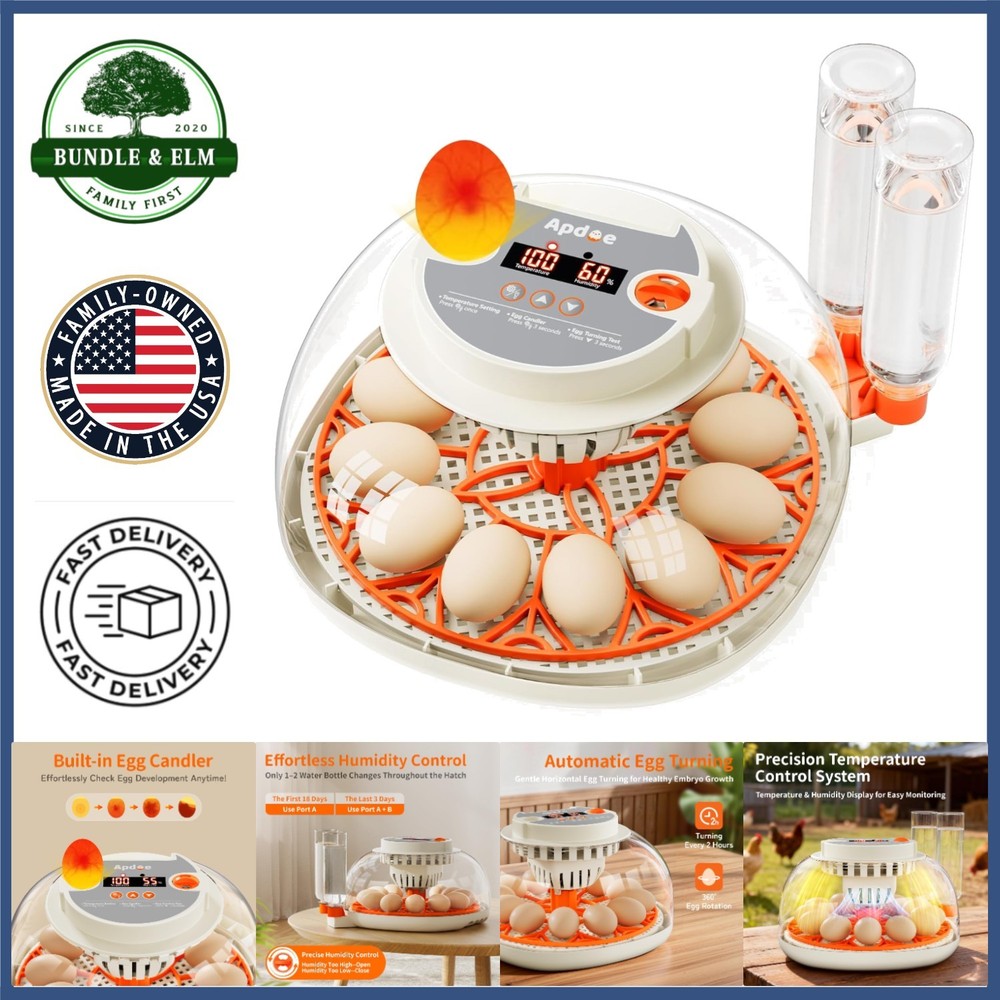 Automatic Egg Hatcher with Digital Display for Optimal Incubation Conditions