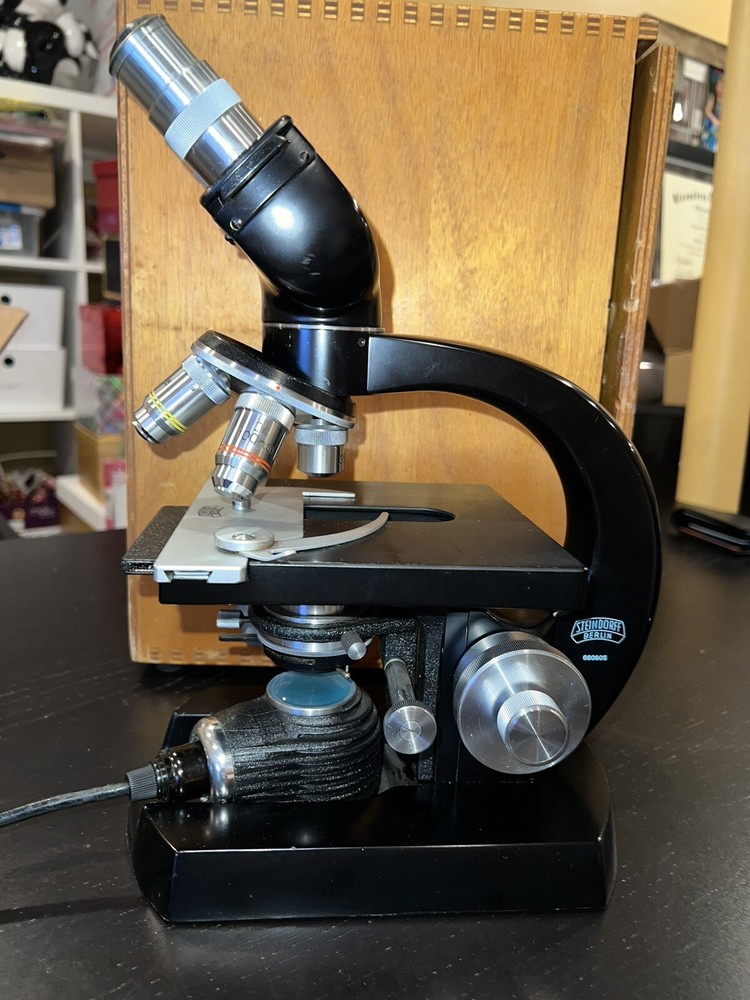 Vintage Steindorff Binocular Microscope with Wooden Case