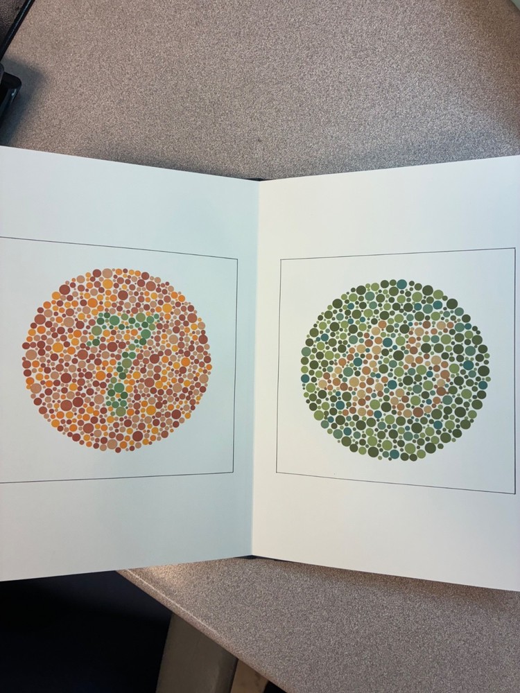 Optical Stereo Fly Vision Test-Great Condition!