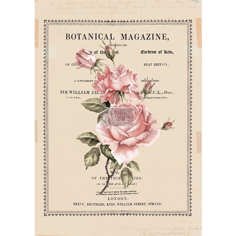 Re-Design with Prima Transfer - Beautiful Botanist