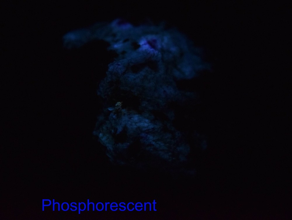 Fluorescent Phosphorescent Slight Color Change Hackmanite with Winchite 281 gram