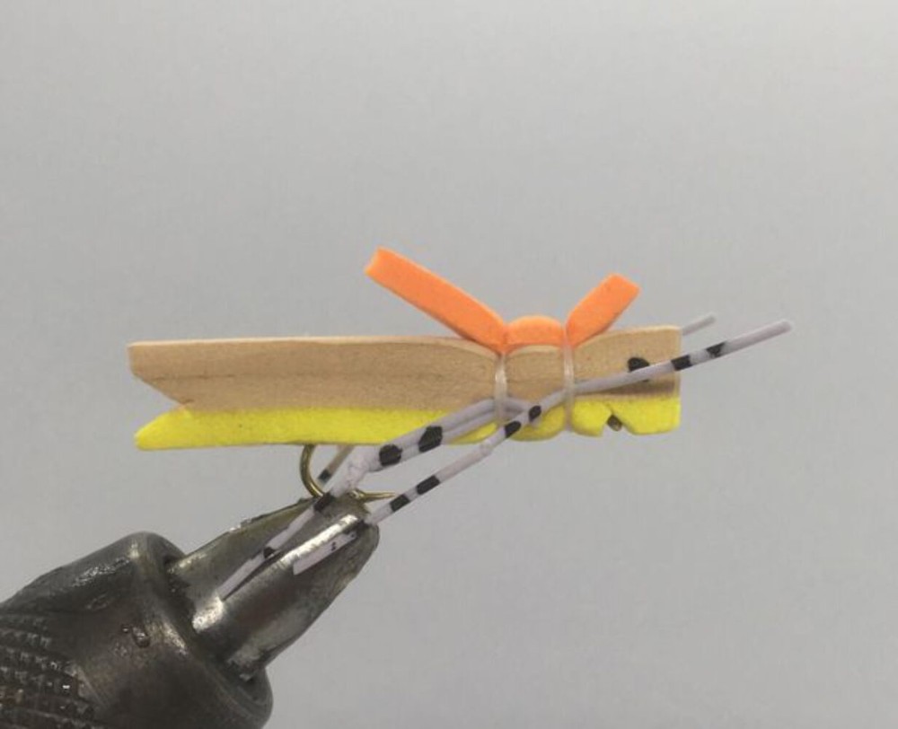 One Dozen (12) - Morrish Hopper - Yellow - Terrestrial