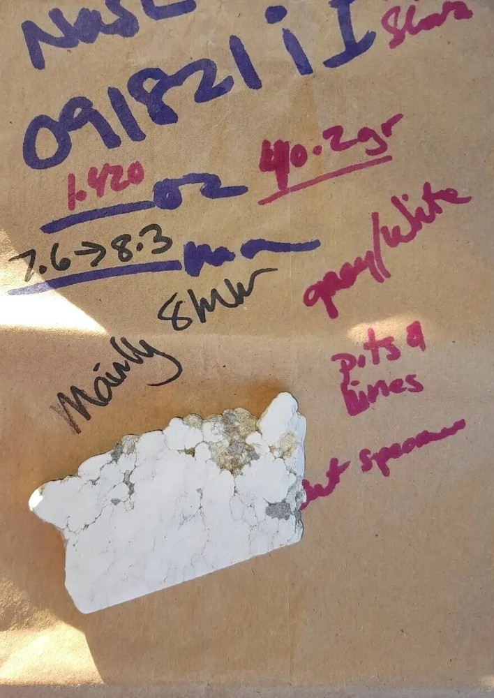 White Howlite Specimen type Slab - 40.2 Gms - Spiderweb - Black - gray - White