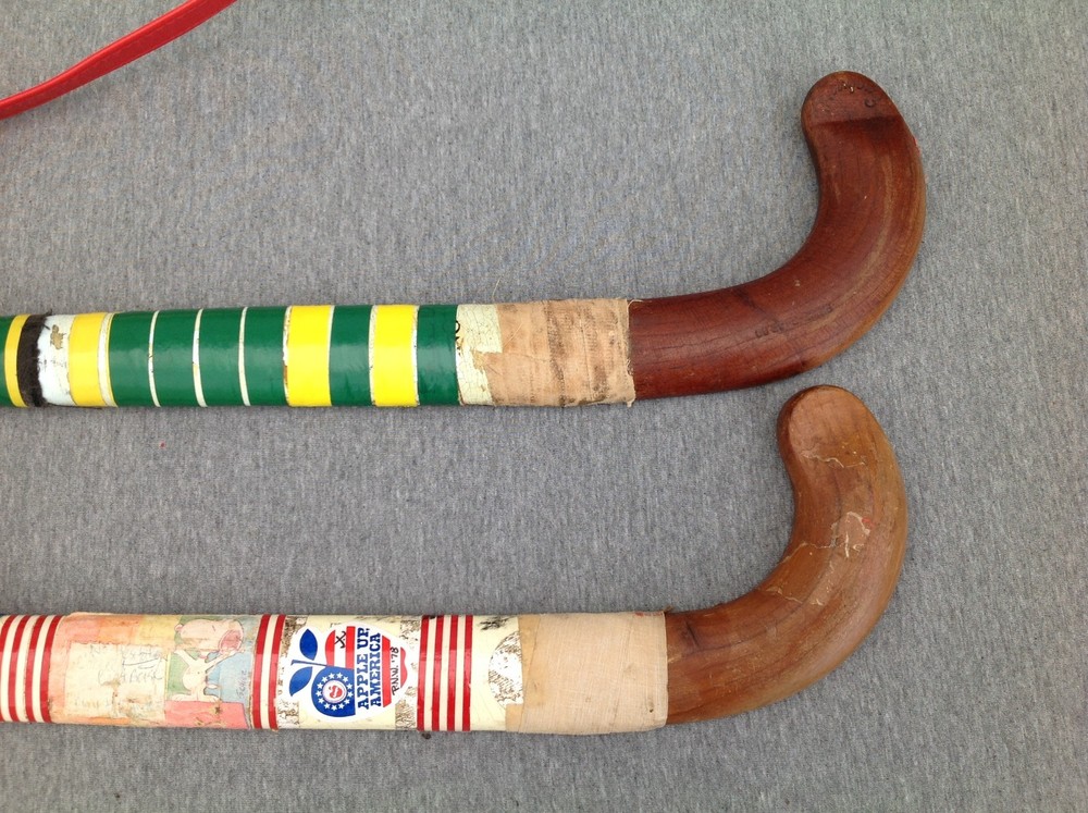 2 Field Hockey Sticks in Bag