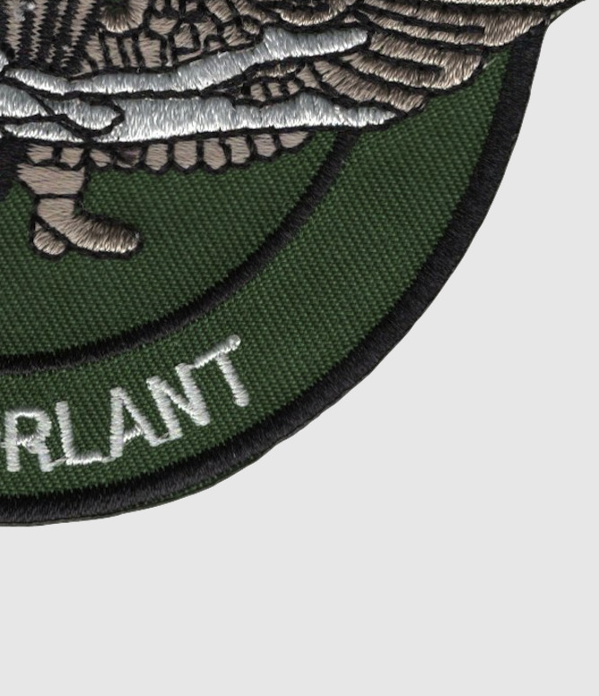 2nd Force Reconnaissance Co Patch