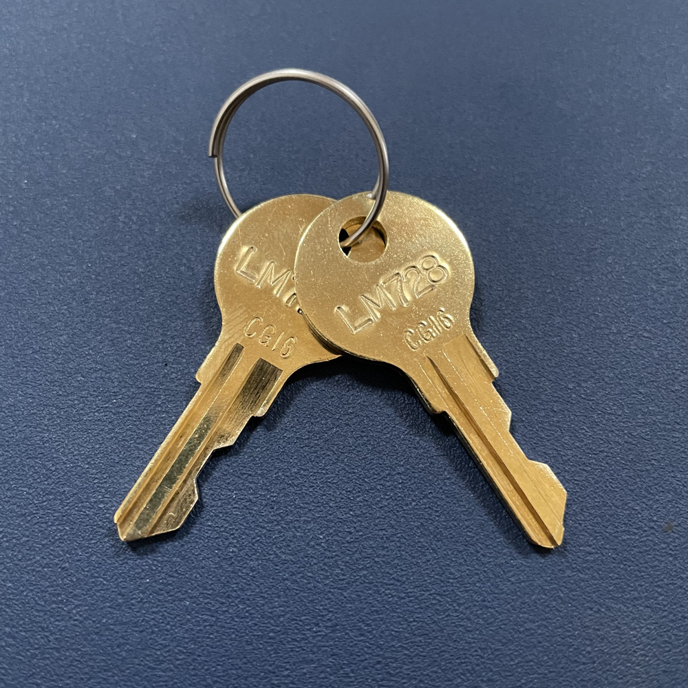 (2) Lyon Cabinet Replacement Keys Cut Key Code LM726 - LM950 - Free Tracking