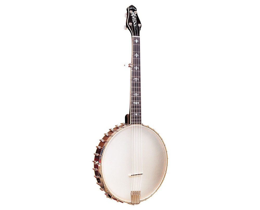 Gold Tone CEB-5 5-String Cello Banjo - Open Box