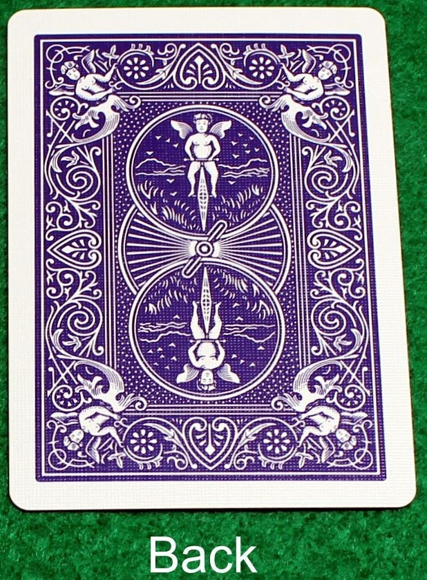 Black Ace, Missing Pips, Bicycle Printed Gaff Card, Blue