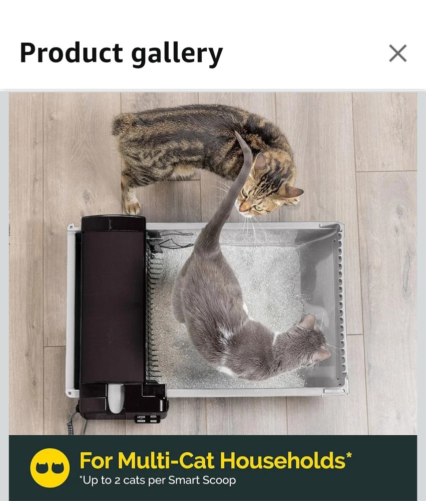 Self-Cleaning Cat Litter Box with Quiet Operation & Carbon Filter