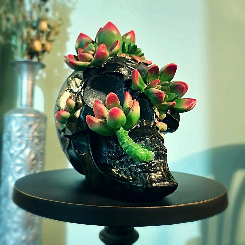Succulent Infested Black Skull, Goblincore, Oddities Decor