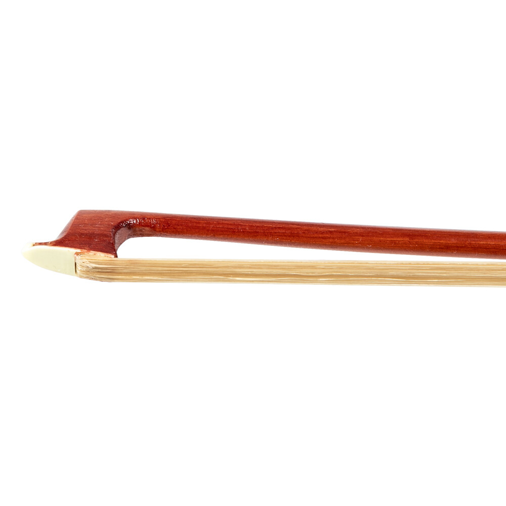 GV103 4/4 Spruce Panel Violin Matte Natural
