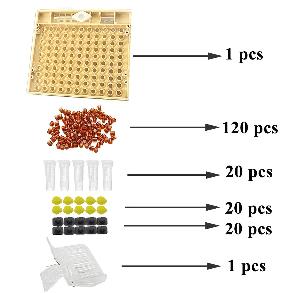 Complete Queen Rearing System Kit King Cultivating Box Plastic Bee Cells Cups