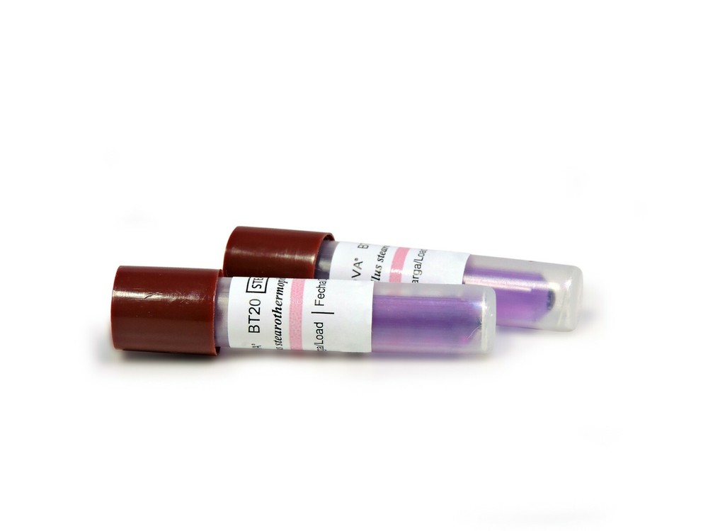 Biological Indicators box of 100 Vials