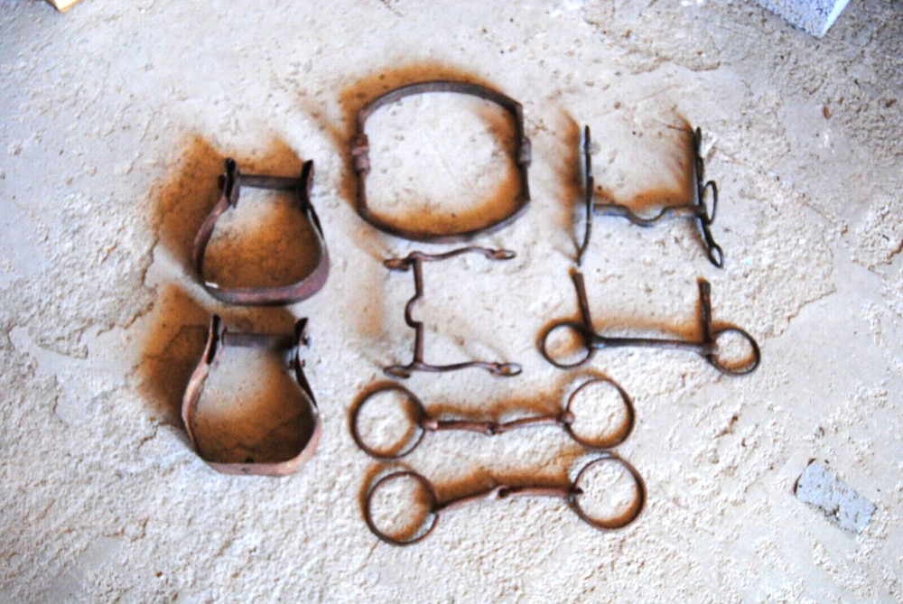 horse related bits parts etc.