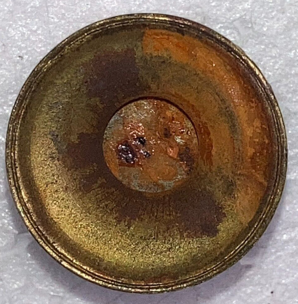 8 Antique Solid Brass Shell Drawer Door Pull Knob Handle Cupboard Screw 2 cm