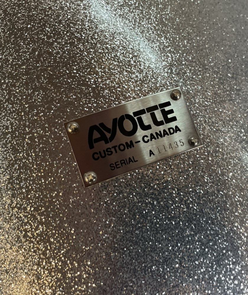 Ayotte Custom Canada 13x9 Silver Sparkle Tom Drum Shell with Wood Hoop, Claws