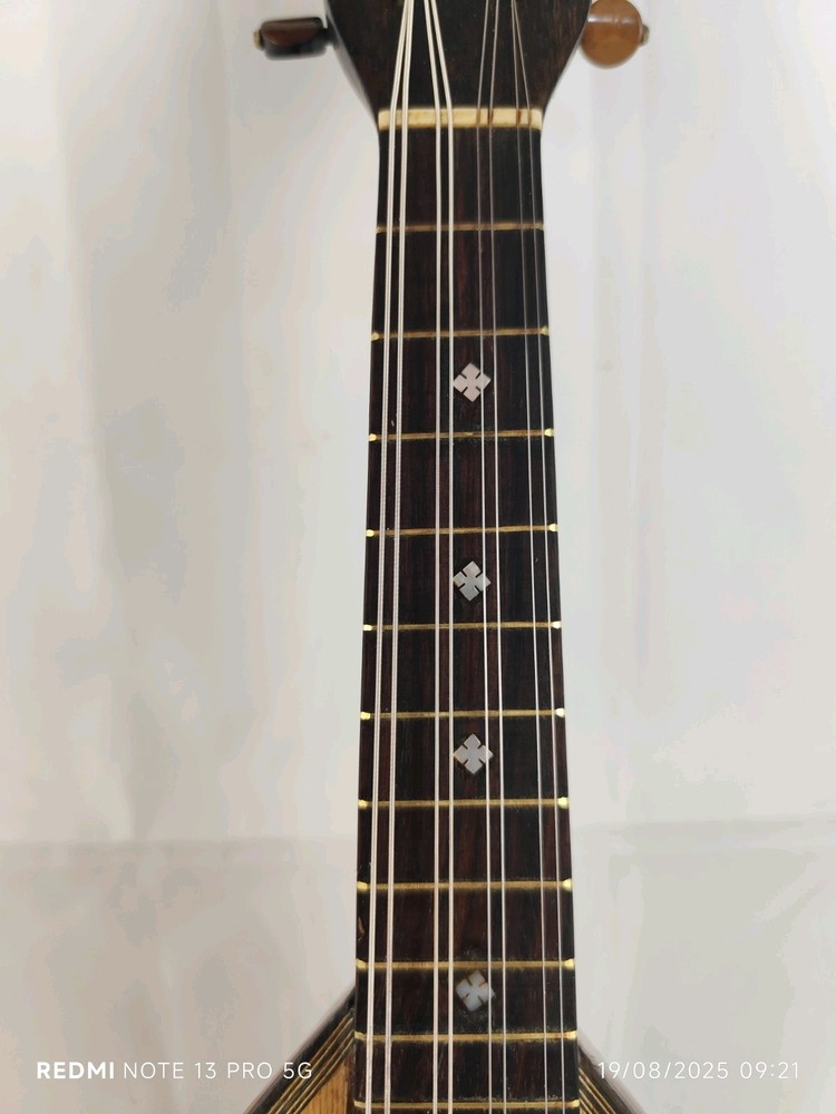 Mandolin 4/4 Alberti 1910 Rome 曼陀林 만돌린マンドリン