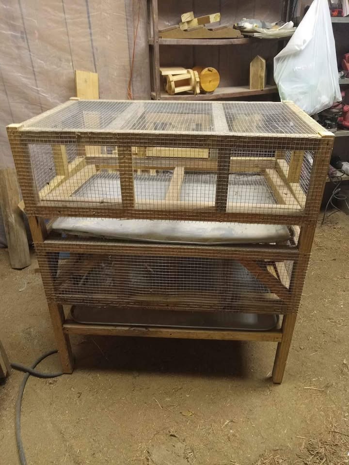 Double Decker Quail Hotel