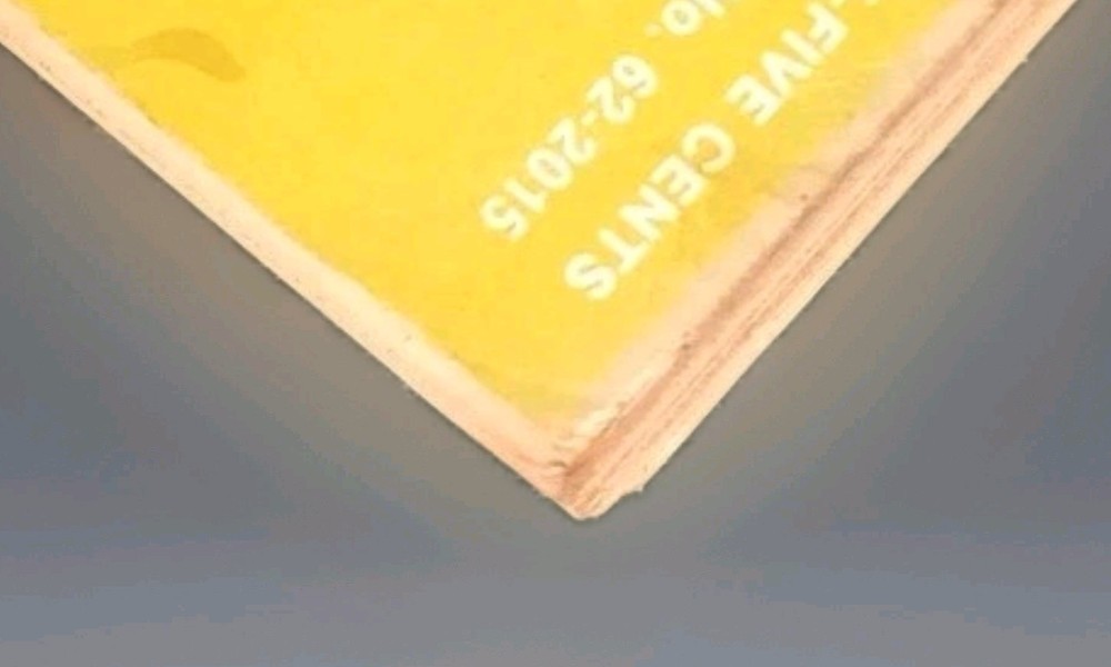 Rare Radio Shack Computer Programming in Basic for Everyone First Impression '77