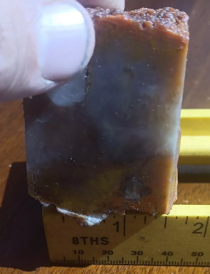 Volcanic Petrified Wood Limb Casting End Cut From Cube Utah See Cube