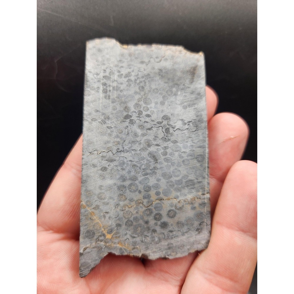 Chinese Oolite Slabs (unpolished)