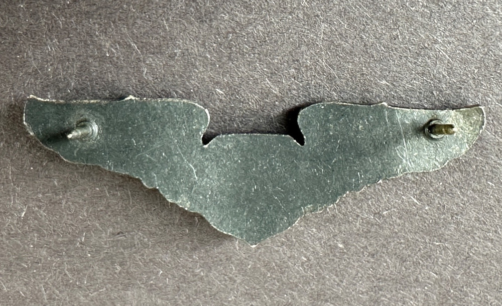 Wings Air Force NASA Astronaut Flight Engineer Silver Pin